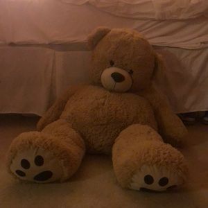 Stuffed Bear
